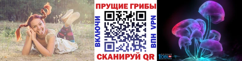 МЕГА tor  Безенчук  Псилоцибиновые грибы ЛСД  где продают  