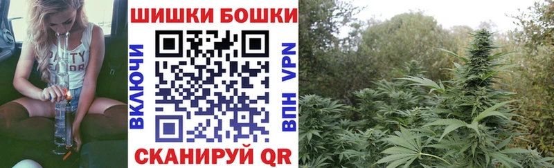 Бошки марихуана семена  Безенчук 